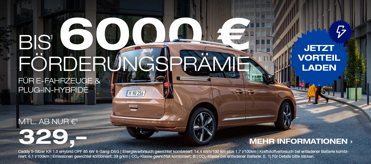 Förderprämie E-Fahrzeug NFZ