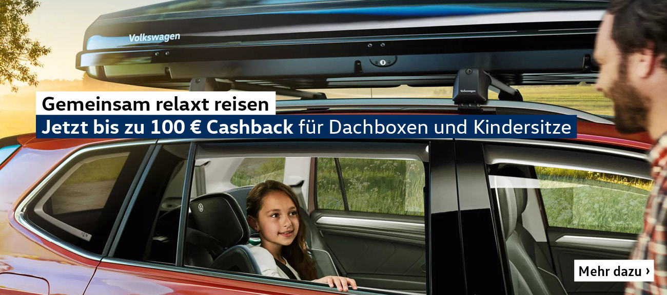 Cash-Back Dachbox Kindersitz
