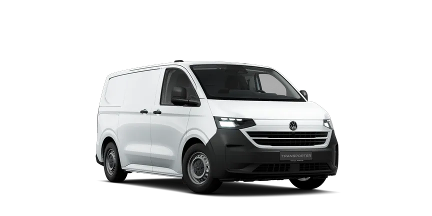 Transporter Kastenwagen