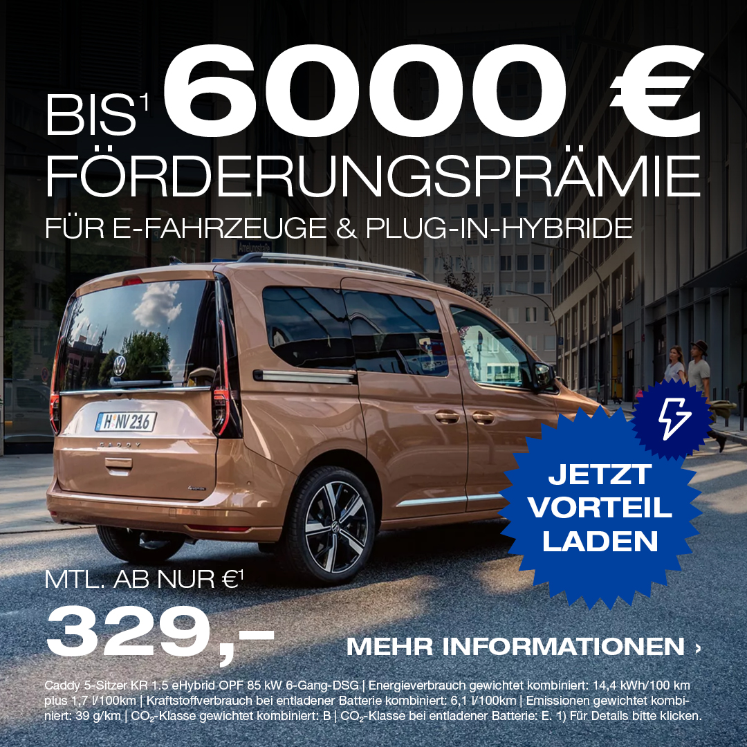 BEITRAG Elektro Förderprämie VW NFZ