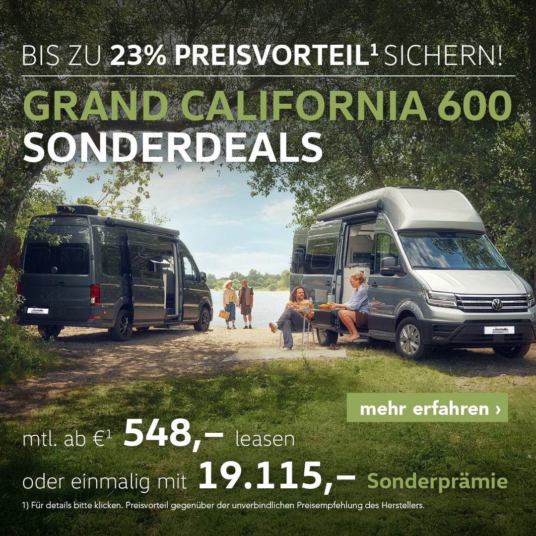 BEITRAGSBILD-VW-GRAND-CALI-600