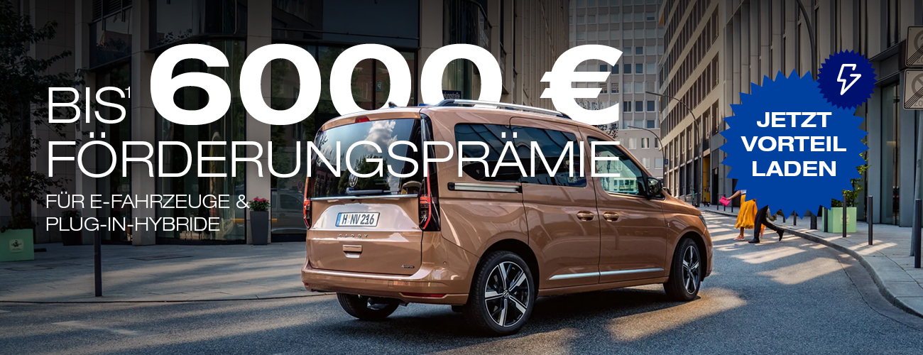 HEADER DESKTOP Elektro Förderprämie VW NFZ